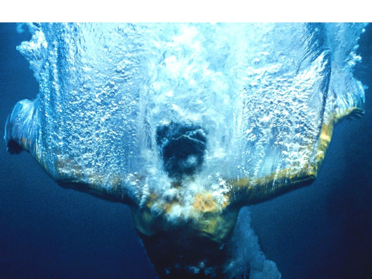 RÉPARER LES VIVANTS : La puissance du don selon Maylis de Kerangal