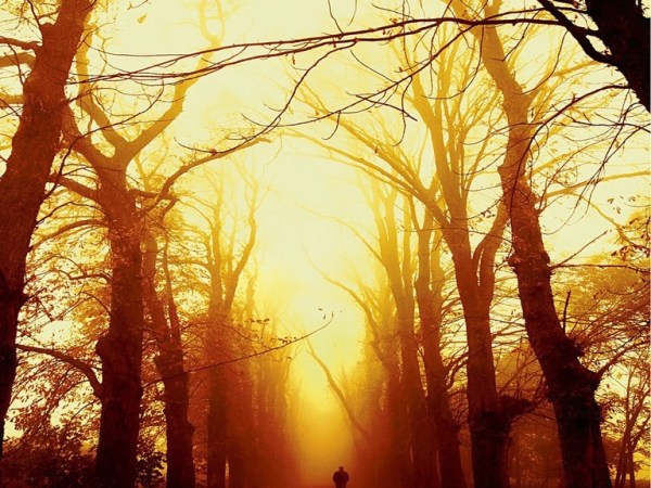 OTAGES INTIMES : Jeanne Benameur ouvre nos prisons intérieures