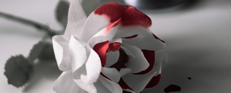 LA ROSE ET LE RÉSÉDA de Louis Aragon – Nom d'une plume